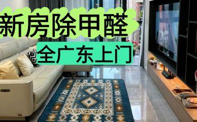 新房除甲醛-全广东上