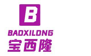 广州市宝西隆科技有限